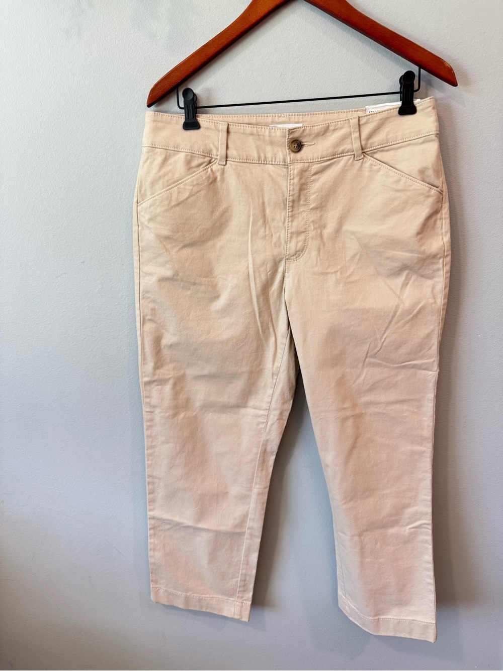 New LOFT Beige Straight Leg Mid Rise Ankle 10 Petite Pants
